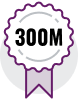 300M Icon